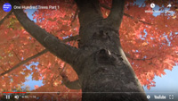 Video 3